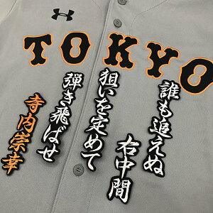 �[�����Ӂy�ǔ��W���C�A���c �h�J���b�y�� ���� �����́z���j�t�H�[��/�ǔ����l�R/Giants/�h���イ/���b�y���ySG�z/�N���X�}�X/
