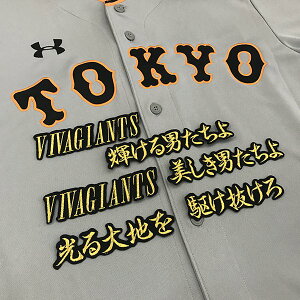 �[�����Ӂy�ǔ��W���C�A���c �h�J���b�y�� VIVA GIANTS �����́z���j�t�H�[��/�ǔ����l�R/Giants/�h�J/�h���イ/���b�y��/ �ySG�z/�N���X�}�X/
