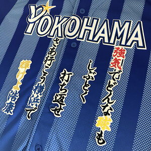 [ӁylDeNAxCX^[Y hJby c ́zc_N //jtH[/v싅/ObYySGz/NX}X/