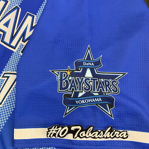 [ӁylDeNAxCX^[Y hJby ˒ #10 io[z˒F //jtH[/v싅/hJ/hイ/by/NX}X/