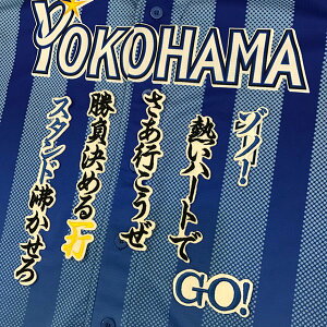 納期注意【横浜DeNAベイスターズ 刺繍ワッペン 下園 応援歌】ゾノ/下園辰哉/応援歌/ユニフォーム/刺しゅう/ワッペン/応援グッズ【SG】/クリスマス/