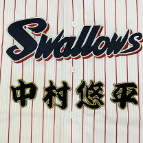npb ワッペン 販売 Amazon NPB フルスイング ワッペン 12球団 セット 