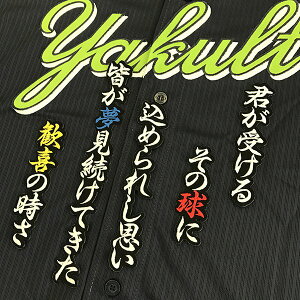 納期注意【東京ヤクルトスワローズ 刺繍ワッペン 中村 応援歌】プロ野球/刺繍/刺しゅう/ワッペン/応援グッズ【SG】/クリスマス/