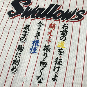 納期注意【東京ヤクルトスワローズ 刺繍ワッペン 武内 応援歌】武内晋一/プロ野球/刺繍/刺しゅう/ワッペン/応援グッズ【SG】/クリスマス/