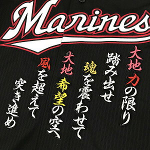 [Ӂytbe }[Y hJby  ́zؑn//jtH[/v싅/hJ/hイ/ObY