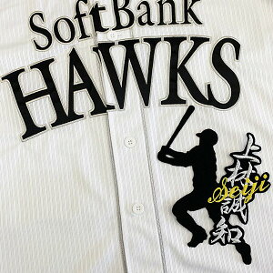 [Ӂy\tgoNz[NX hJby  l[tVGbgzѐm//jtH[/v싅hイ/ObY