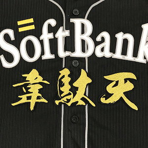 納期注意【ソフトバンクホークス 刺繍ワッペン 韋駄天 毛筆】応援歌/ユニフォーム/優勝/プロ野球刺しゅう/ワッペン/応援グッズ