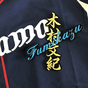 [ӁyCIY hJby ؑ l[zؑI/jtH[/hJ/hイ/by/ObYySGz