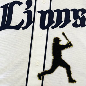 [ӁyCIY hJby ؑ VGbg zؑI/jtH[/hJ/hイ/by/ObY