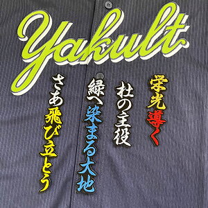 納期注意【東京ヤクルトスワローズ 刺繍ワッペン 元山 応援歌】元山飛優/プロ野球/刺繍/刺しゅう/ワッペン/応援グッズ【SG】/クリスマス/クリスマスプレゼント/ヤクルトファン/カスタマイ
