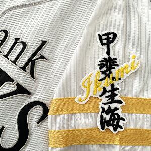 [Ӂy\tgoNz[NX hJby b l[zb㐶C/NX}Xv[g/z[NXt@/JX^}CY/JX^/h/Rc//jtH[/D/v싅h