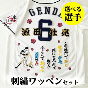 納期注意【西武ライオンズ 刺繍ワッペン 5点セット】【白】選べる選手/応援歌/ユニフォーム/優勝/プロ野球/刺しゅう/ワッペン/応援グッズ/ユニフォーム/カスタマイズ/カスタム/派手/源田/外