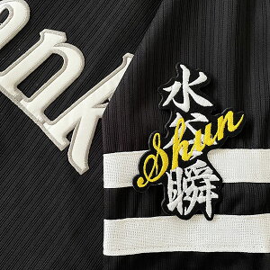 納期注意【ソフトバンクホークス 刺繍ワッペン 水谷 ネーム】水谷瞬/ホークスファン/カスタマイズ/カスタム/派手/若鷹軍団/応援歌/ユニフォーム/優勝/プロ野球刺しゅう/ワッペン/応援グッ