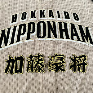 [Ӂy{nt@C^[Y hJby  Oz/jtH[/n/t@C^[Y/hイ/byySGz