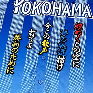 納期注意【横浜DeNAベイスターズ 刺繍ワッペン 度会 応援歌】度会隆輝/横浜ファン/カスタマイズ/カスタム/派手/応援歌/ユニフォーム/刺繍/刺しゅう/ワッペン/応援グッズ【SG】/クリスマス/