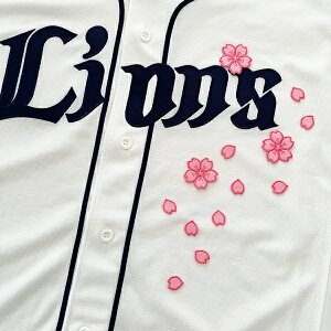 [ӁyCIY hJby @sNz/TN/Ԃт//jtH[/hJ/hイ/by/ObY