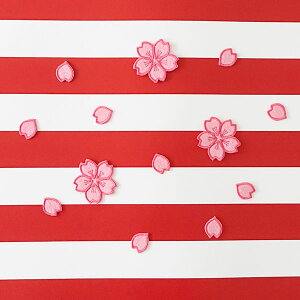 [ӁyOr[ [hJbv 2023  hJby z/BRAVE BLOSSOMS/uCu ubT/2023N/{\//jtH[/D/hイ/by/ObY