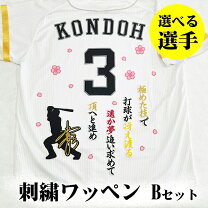 楽天市場】応援歌 刺繍の通販