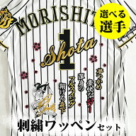 納期注意【阪神タイガース 刺繍ワッペン 5点セット 筆記体】【黒】桜ふち/選べる選手/応援歌/ユニフォー…