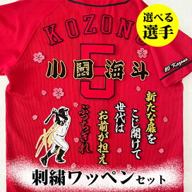 楽天市場】納期注意【日本ハムファイターズ 刺繍ワッペン 大谷 #11 