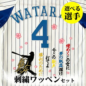 [Ӂyl DeNA xCX^[Y hJby 3_Zbgzyz/IׂI//jtH[/D/baystars/v싅/hイ/by/ObY//{/K/q/x/V/X