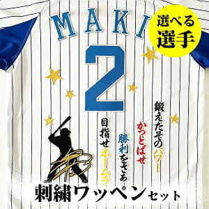 [Ӂyl DeNA xCX^[Y hJby 3_Zbgzyzy/z/IׂI//jtH[/D/baystars/v싅/hイ/by/ObY//{/K/q/x/