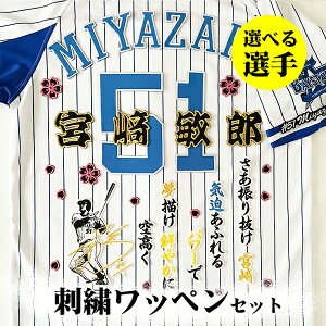 [Ӂyl DeNA xCX^[Y hJby 5_Zbgzyzy/zIׂI//jtH[/D/baystars/v싅/hイ/by/ObY//{/K/q/R{S