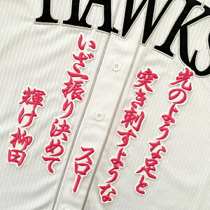 [Ӂy\tgoNz[NX hJby c ́zysNzcI /NX}Xv[g/z[NXt@/JX^}CY/JX^/h/Rc//jtH[/D/