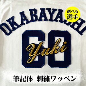 納期注意【中日 ドラゴンズ 刺繍ワッペン 筆記体 選手名 大】選べる選手/応援歌/ユニフォーム/優勝//プロ野球/刺しゅう/ワッペン/応援グッズ/根尾/岡林/高橋/ビシエド