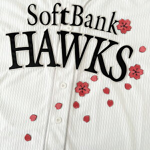 [Ӂy\tgoNz[NX hJby  Vz/TN/Ԃт//jtH[/D/v싅hイ/by