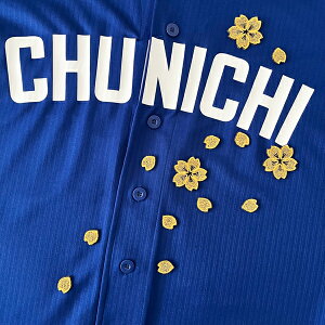 [ӁyhSY hJby  Vz/TN/Ԃт/jtH[/hイ