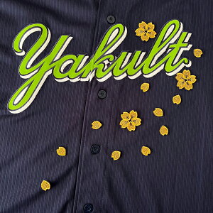 [ӁyNgX[Y hJby  Vz/TN/Ԃт/v싅/hJ/hイ/by/ObY/NX}X/