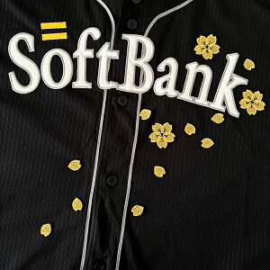 [Ӂy\tgoNz[NX hJby  Vz/TN/Ԃт//jtH[/D/v싅hイ/by