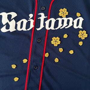 [ӁyCIY hJby @Vz/TN/Ԃт//jtH[/hJ/hイ/by/ObY