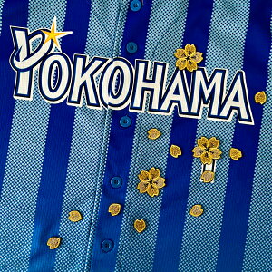 [ӁylDeNAxCX^[Y hJby  Vz/TN/Ԃт//jtH[/v싅/hJ/hイ/by/NX}X/