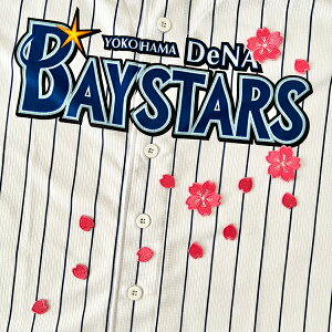 [ӁylDeNAxCX^[Y hJby  Vz/TN/Ԃт//jtH[/v싅/hJ/hイ/by/NX}X/