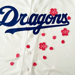 [ӁyhSY hJby  Vz/TN/Ԃт/jtH[/hイ