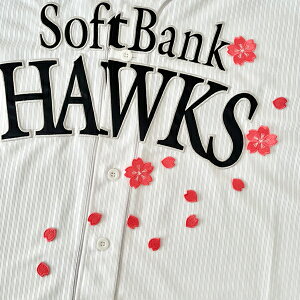 [Ӂy\tgoNz[NX hJby  Vz/TN/Ԃт//jtH[/D/v싅hイ/by