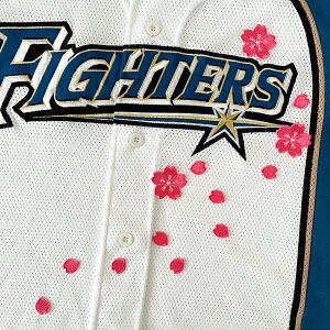 [Ӂy{nt@C^[Y hJby  Vz/TN/Ԃт/n/kC/jtH[/D/v싅/hイ