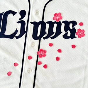 [ӁyCIY hJby @Vz/TN/Ԃт//jtH[/hJ/hイ/by/ObY