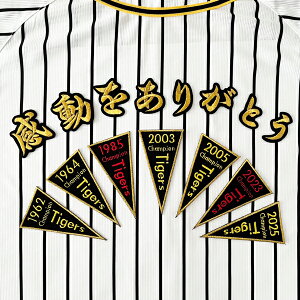 [Ӂy_^CK[X hJby 2025 CHAMPION yig 肪Ƃ Zbgz`sI/D/v싅/hJ/hイ/by/ObY//_t@/JX^}CY/JX^