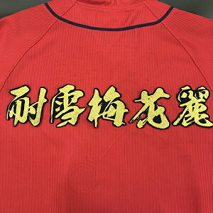 [ӁyLJ[v hJby ϐ~ԗ ѕMz/jtH[/J[v/D/LmJ[v/J[vq /hイ/NX}X/NX}Xv[g/J[vt@/JX^}C