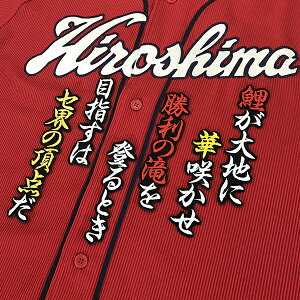 納期注意【広島カープ 刺繍ワッペン セ界の頂点】応援歌/ユニフォーム/カープ/優勝/広島東洋カープ/カープ女子/プロ野球/刺繍/刺しゅう/ワッペン/応援グッズ/クリスマス/