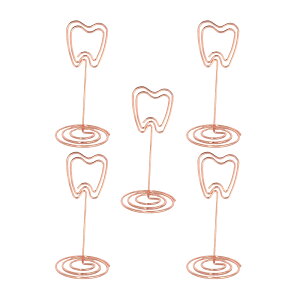 [̂̃X^h](5Zbg) Lacoral(R) ̌` J[hX^h J[hz_[ X^h Nbv tHgX^h ȎD  p[eB[ Ȉ@  h 