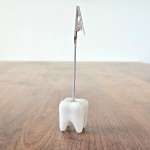 [̂̃NbvX^h] Lacoral(R)  J[hX^h J[hz_[ X^h Nbv tHgX^h ȎD  p[eB[ Ȉ@  ȉqm h