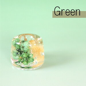 BOTANICAi{^jJj uVX^h yX^h n[oE {^jJ  hCt[ AN WF  fBXvC Ȉ@  nR Toothbrush stand