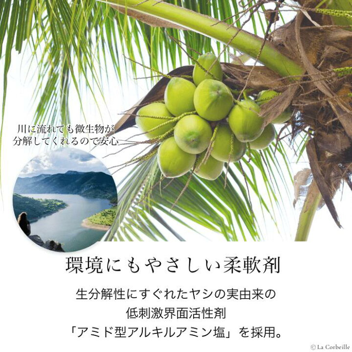 楽天市場】【公式】ラコルベイユ 柔軟剤 12個セット オーキッドの香り 