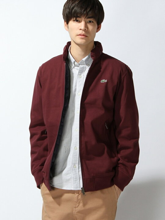 楽天市場】(M)ピケダウン LACOSTE ラコステ ジャケット・アウター 