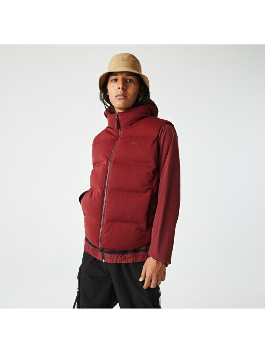 楽天市場】【SALE／50%OFF】ストレッチピケ中綿ベスト LACOSTE 