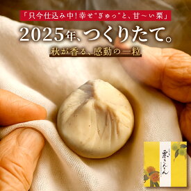【 10個 3,360円 】 栗きんとん 4個入 2個入 岐阜 栗 スイーツ お菓子 和菓子 国産 予約 ギフト 2025 つくりたて